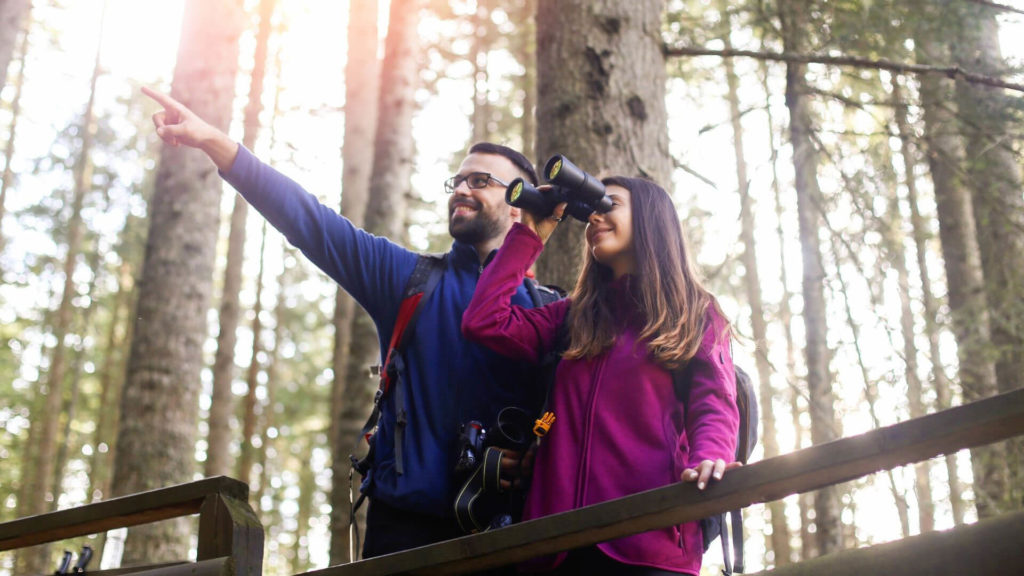 Forest Safari - Highland Safaris Forest Safari - Highland Safaris