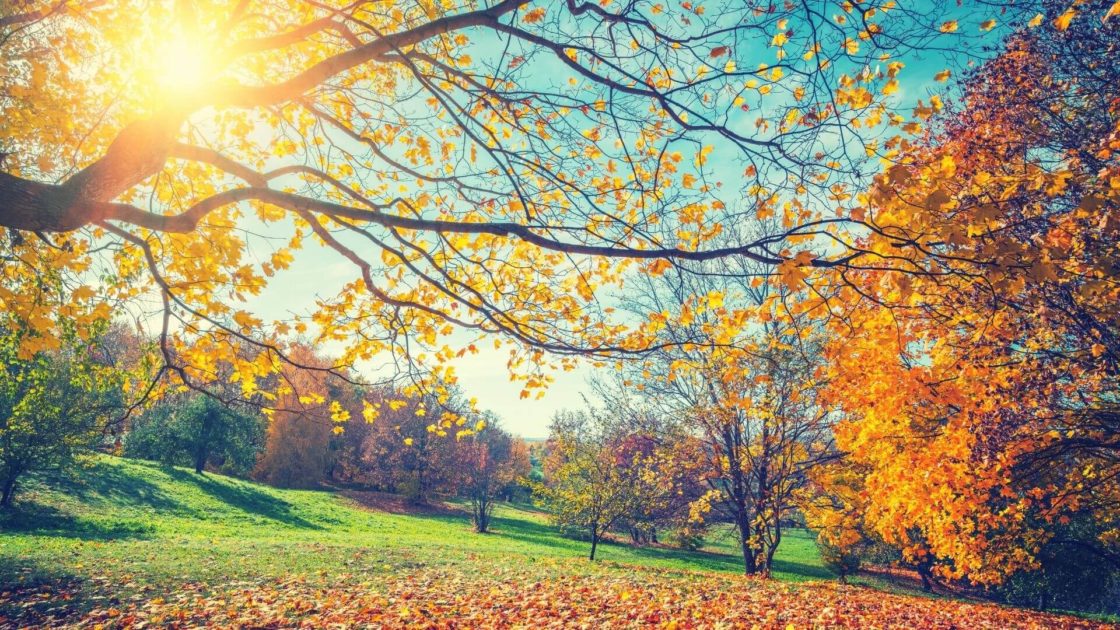 Autumn Breaks