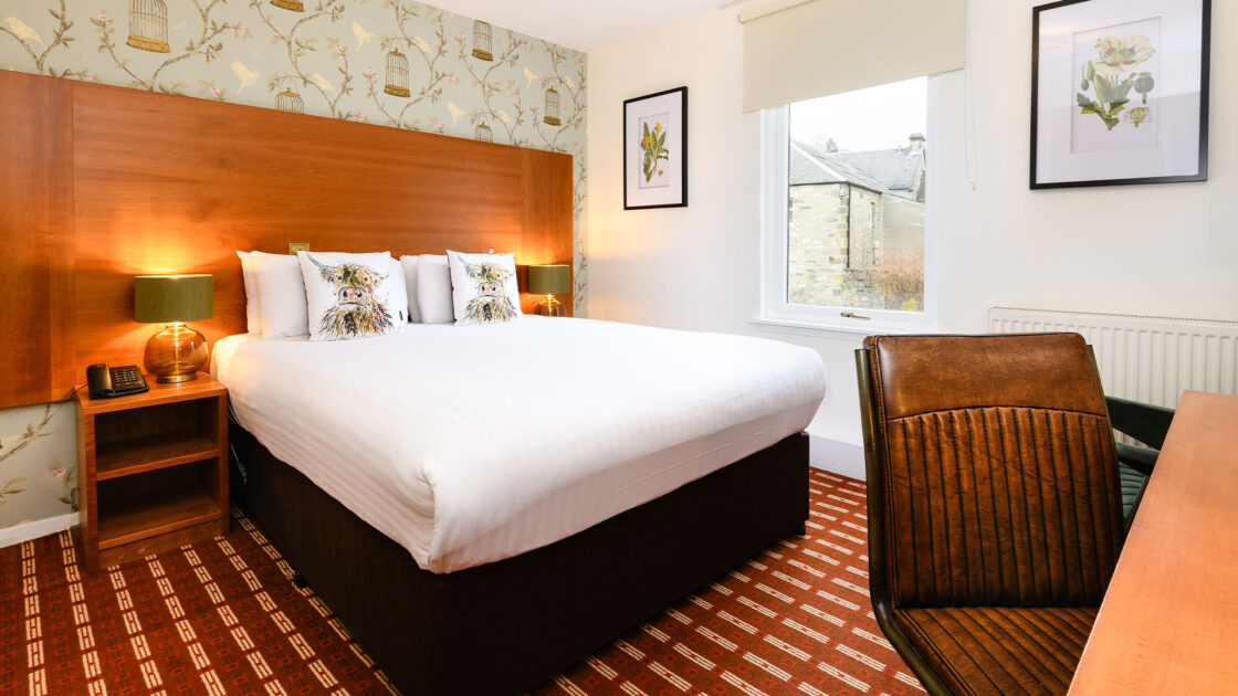 Cosy-Double-Room-157